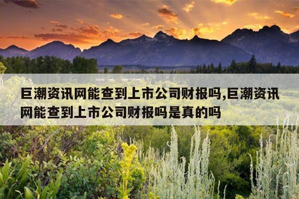 佳云科技巨潮资讯网(巨潮资讯网公告)下载