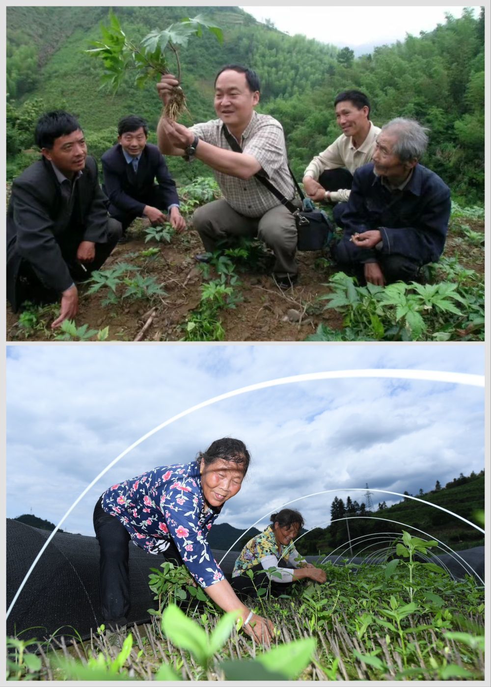 资讯科技员是做什么的(资讯科技员是做什么的工作)下载