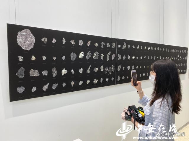 展阅科技资讯(展阅科技资讯官网)下载