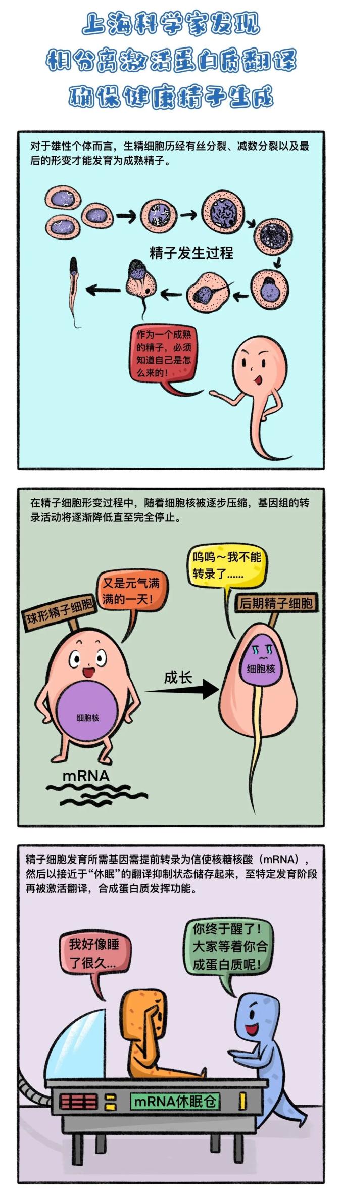 精子漫画应用下载(manhuajing)下载